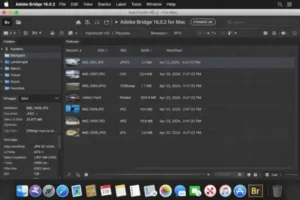 Adobe Bridge 16.0.2 for Mac