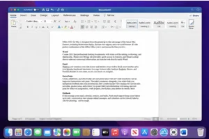 Microsoft Office LTSC Standard